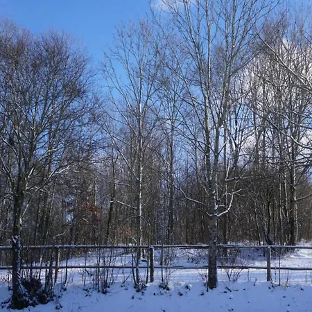 Cozy In Ruhmannsfelden With Swimming Pool