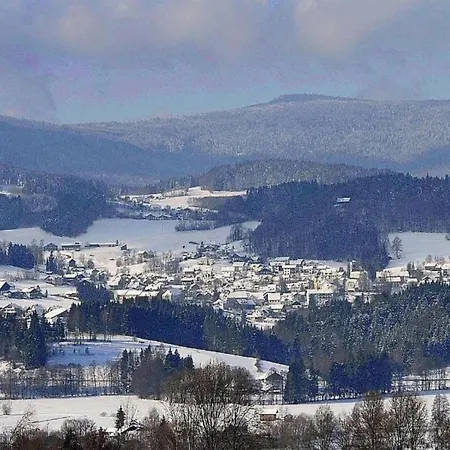 Cozy In Ruhmannsfelden With Swimming Pool Lejlighed *