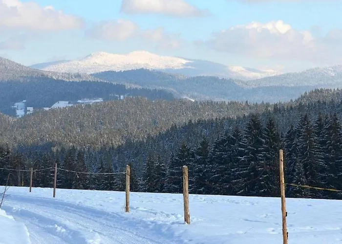 Cozy In Ruhmannsfelden With Swimming Pool