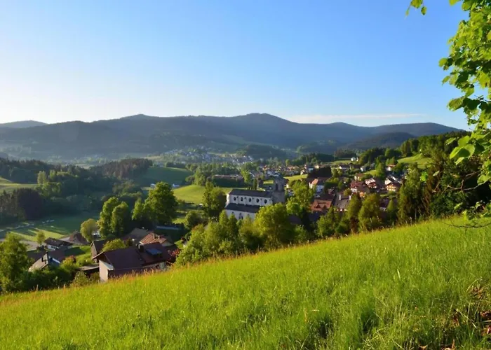 Cozy In Ruhmannsfelden With Swimming Pool