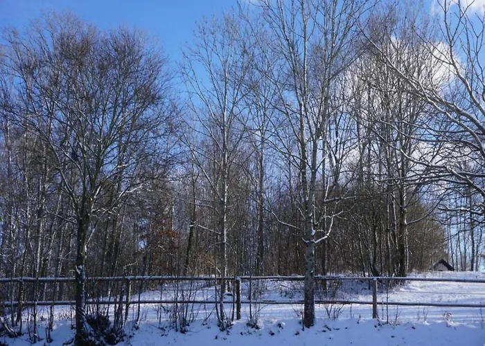 Apartamento Cozy In Ruhmannsfelden With Swimming Pool *