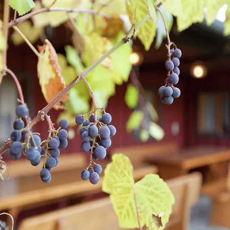 Cozy In Ruhmannsfelden With Swimming Pool Apartment