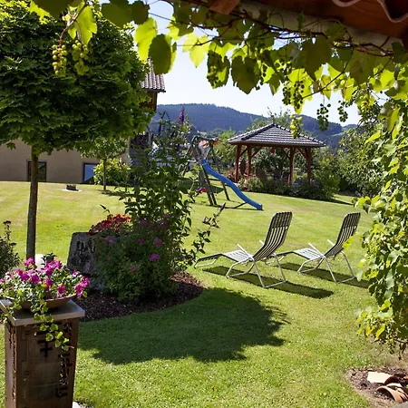 Cozy In Ruhmannsfelden With Swimming Pool Apartment