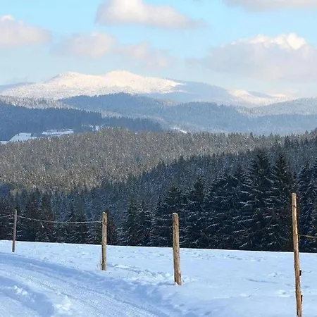شقة Cozy In Ruhmannsfelden With Swimming Pool Achslach
