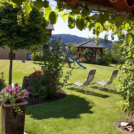Cozy In Ruhmannsfelden With Swimming Pool Apartment